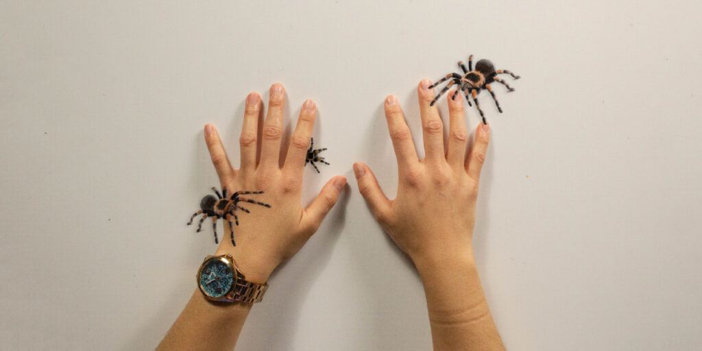 Facing Arachnophobia: The Fear of Spiders