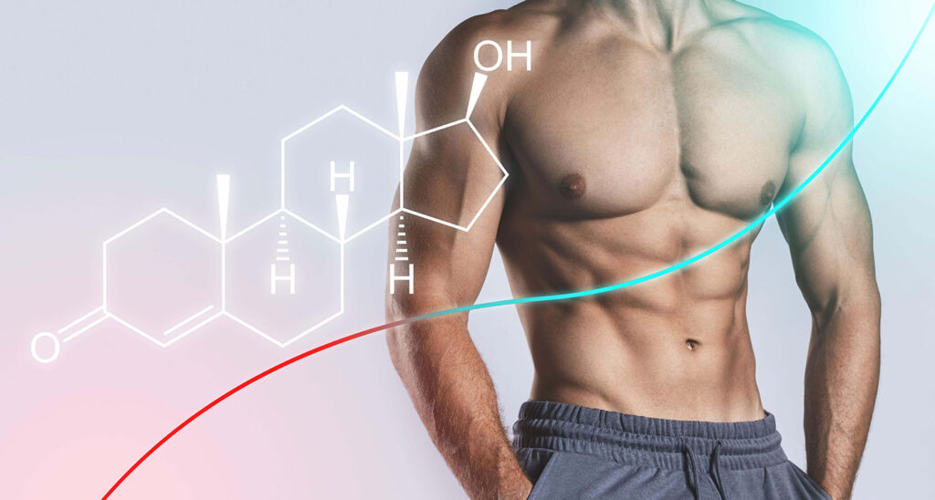 The Role of Testosterone in Energy Regulation