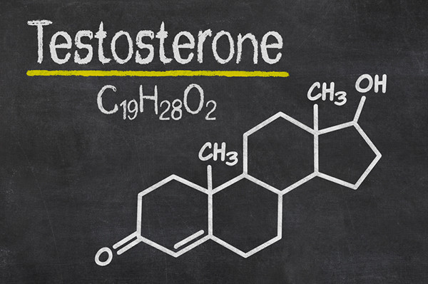 How Testosterone Affects Your Weight and How to Lose Fat and Gain Muscle