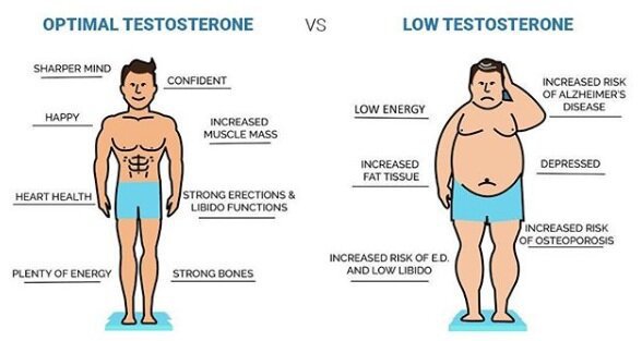 How to Skyrocket Your Testosterone Levels with These Simple Lifestyle Changes