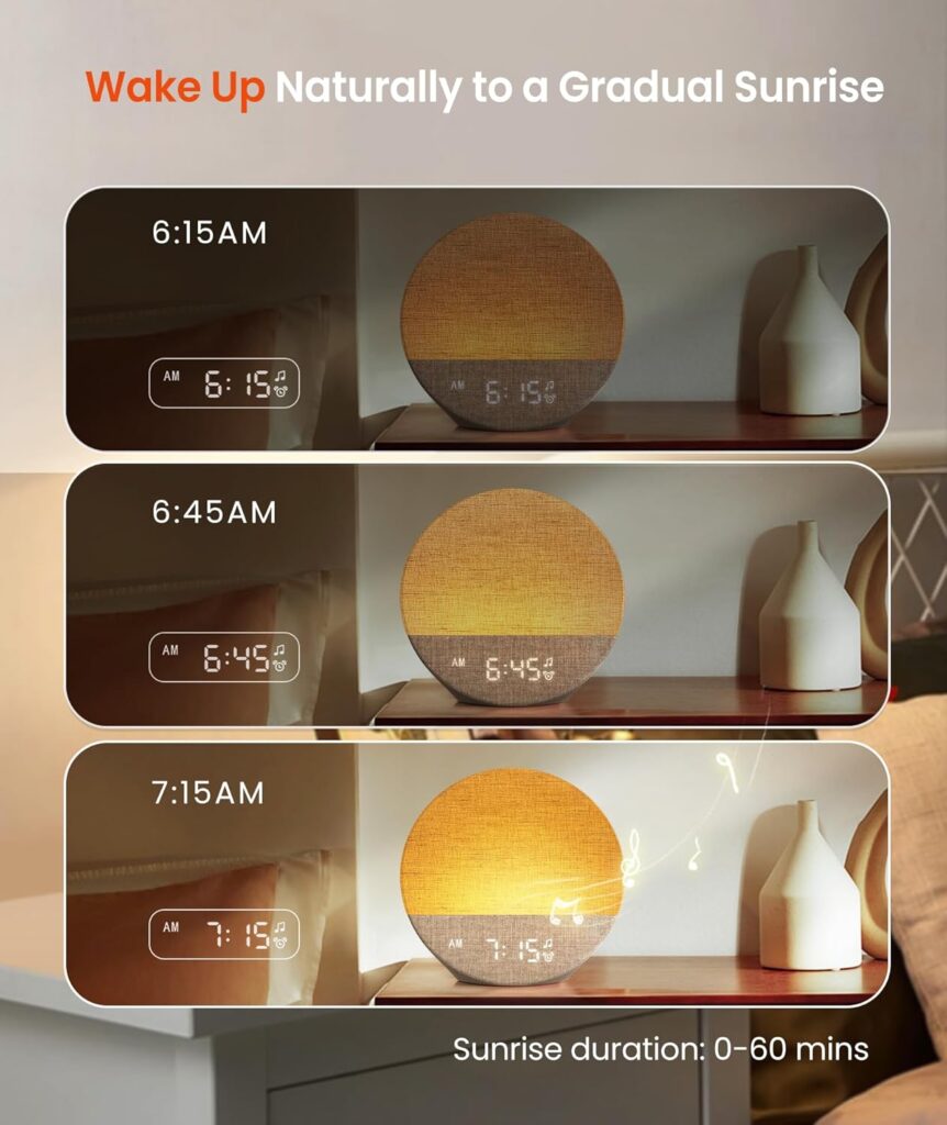 Important Features of the Dreamegg Sunrise 1