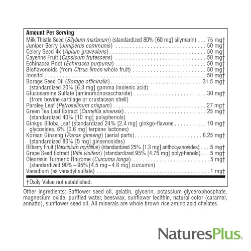 Natures Plus Regeneration - 90 Softgels, Pack of 2 - Multi-Vitamin & Mineral Supplement with Botanical Extracts & Antioxidants - Gluten Free - 60 Total Servings