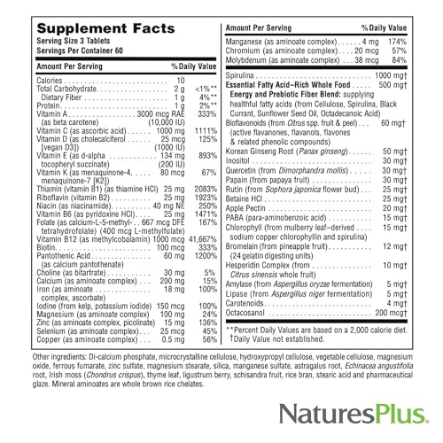 Natures Plus Source of Life - 180 Tablets, Pack of 3 - Multi-Vitamin & Mineral Supplement - Supports Natural Energy & Overall Well-Being - Gluten Free, Vegetarian - 180 Total Servings