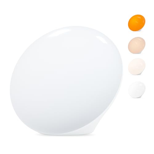 LASTAR Sun Lamp, 10,000 Lux Sunlight Lamp with 4 Color Temperatures & 5 Brightness & 1H Timer, Touch Control Daylight Lamp with Memory Function for Home