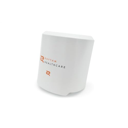 Lifestyle Rhythm P2 Battery