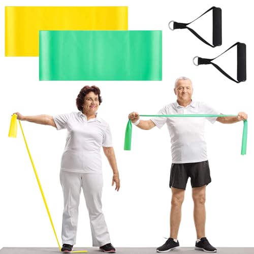 Relaxgiant 2 Pcs Resistance Band with Handles Chair Exercise Equipment for Seniors Physical Therapy Band Gifts for Elderly Women Rehab, Physical, Grandma, Grandpa(Yellow,Green)