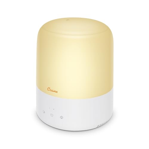 Best Humidifiers for Dry Sinuses in Winter