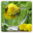 Inulin