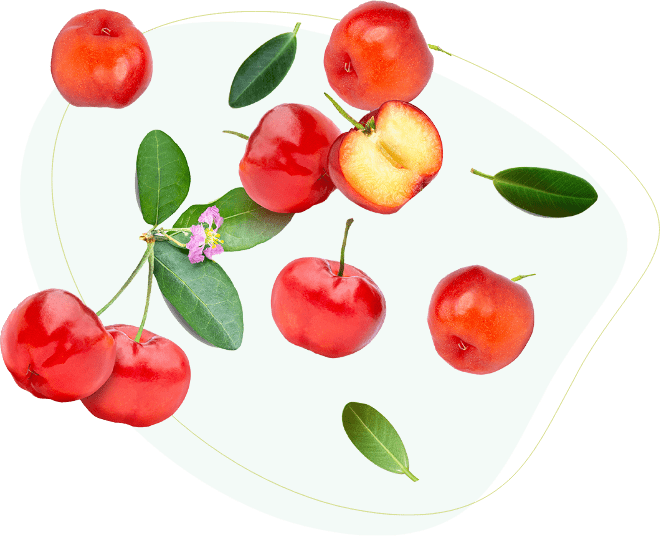 Acerola
