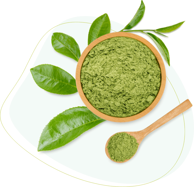 Matcha Green Tea