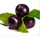 Acai Berry